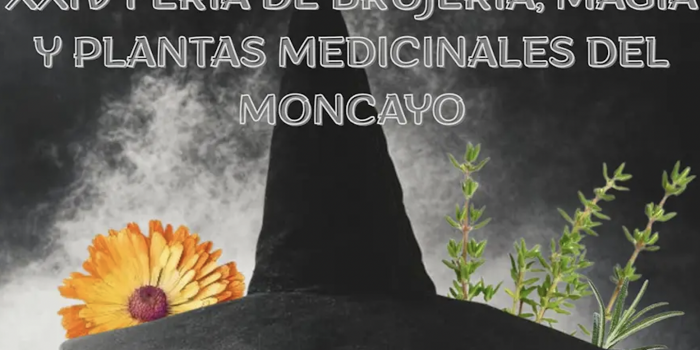 feria de la brujeria